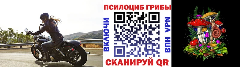Купить где  Красный Кут  Галлюциногенные грибы прущие грибы 